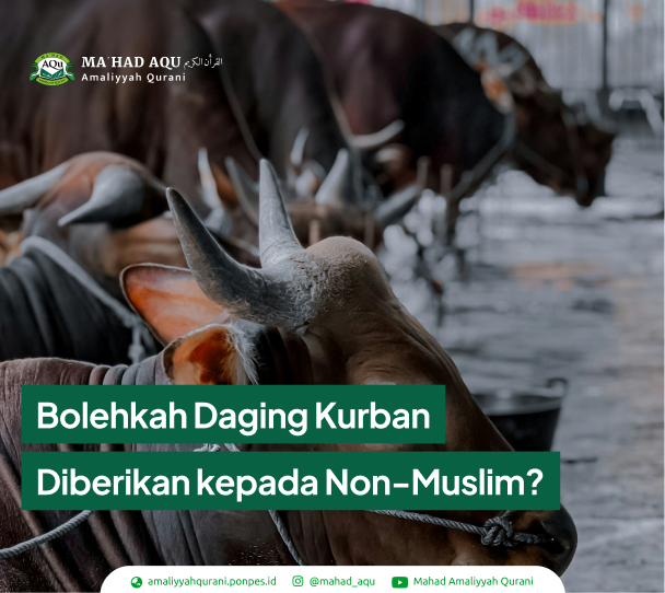 daging kurban